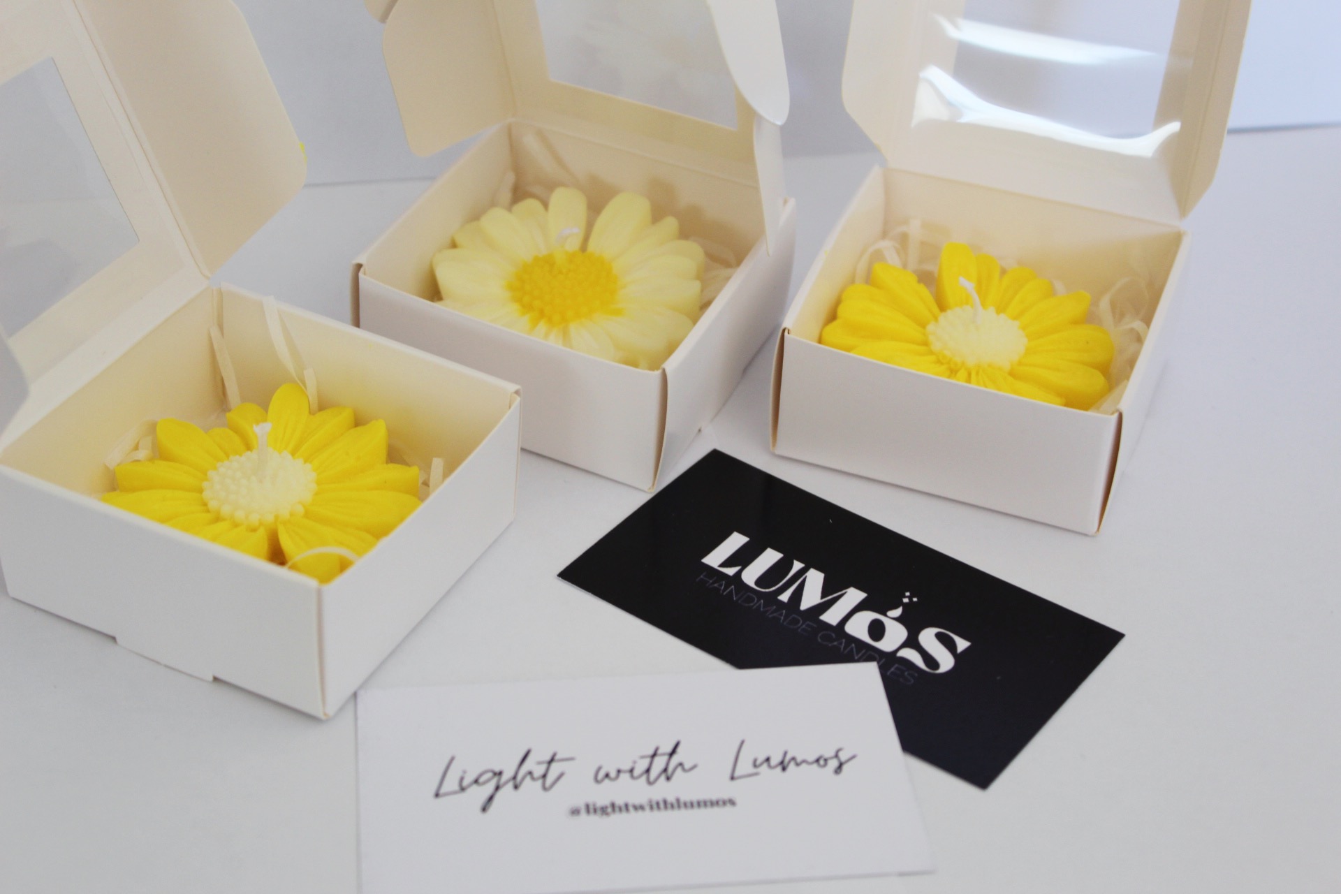 Маргаритка